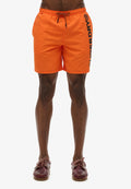 Sport Graphic 17-inch Swim Shorts