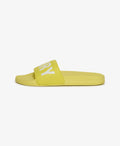 Pool Sliders
