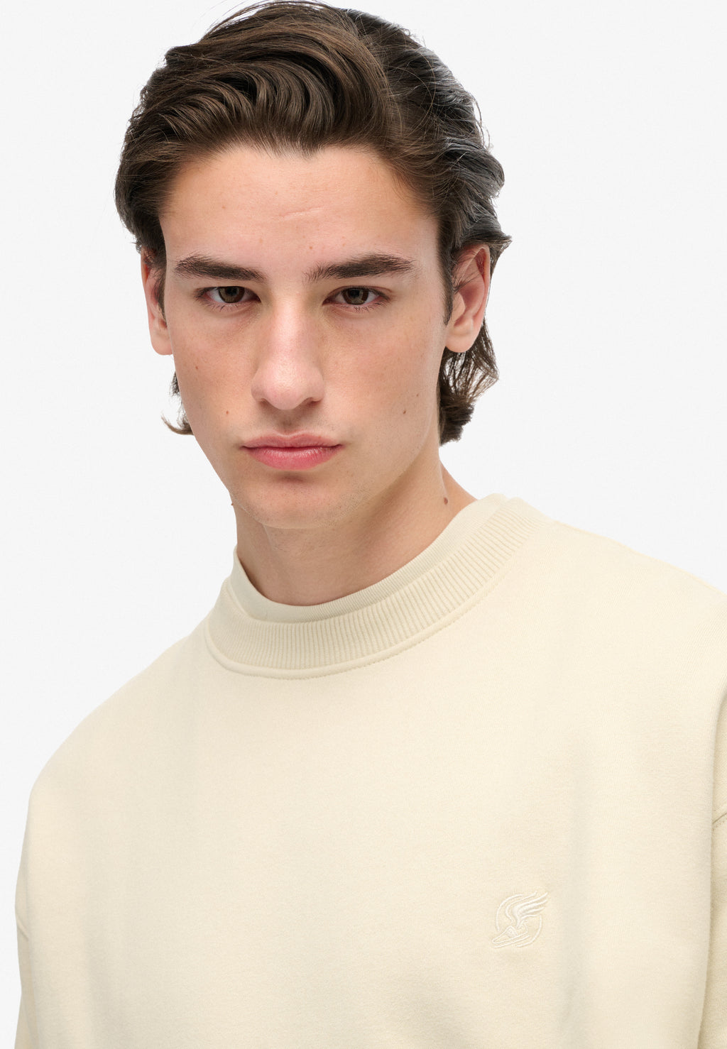 Blank Oversized Crew Sweatshirt