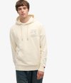 Athletic Essentials Hoodie
